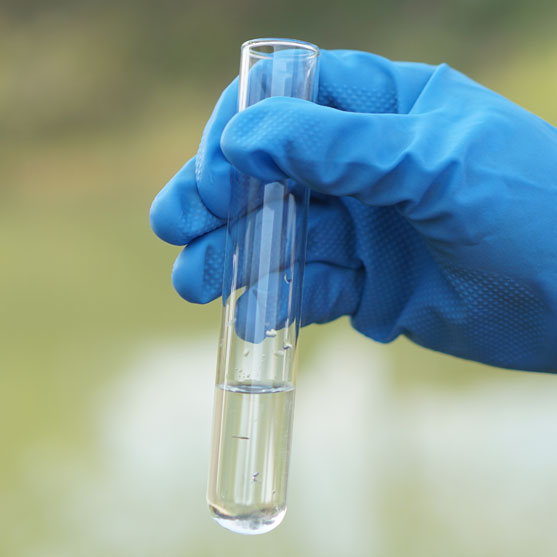 Testing Water In Test Tube
